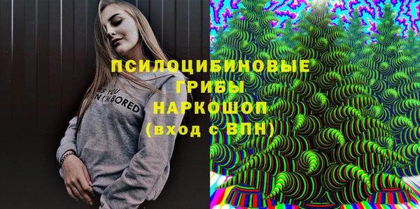 ГАЛЛЮЦИНОГЕННЫЕ ГРИБЫ Алексин